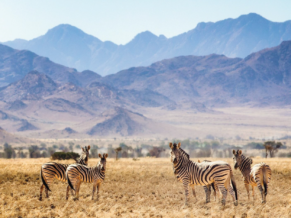 Inland safari 06 day Mid-range sharing safaris for 2 pax per vehicle
                This is a very special for July, August, September & October